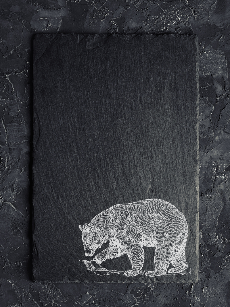 gravure sur ardoise ours gravure sur ardoise ours